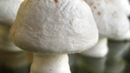 Рецепт грибочков из безе