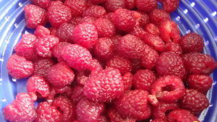 Рецепт торта-безе с творожно-малиновой начинкой