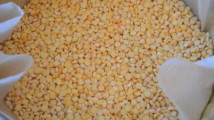 Рецепт ягодного торта-безе