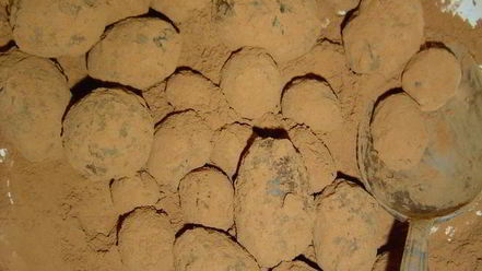 Рецепт десерта из винограда и шоколада трюфельки