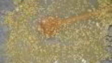 Рецепт фруктово-творожного десерт с кунжутным крокантом и ароматом амаретто