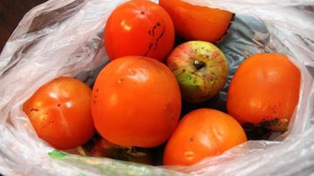 Рецепт чизкейка халва-хурма