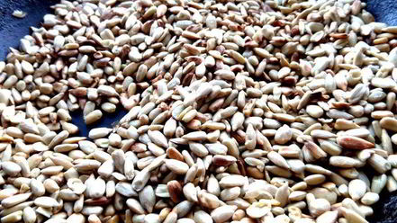 Рецепт домашней армянской халвы