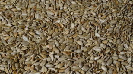 Рецепт халвы домашней