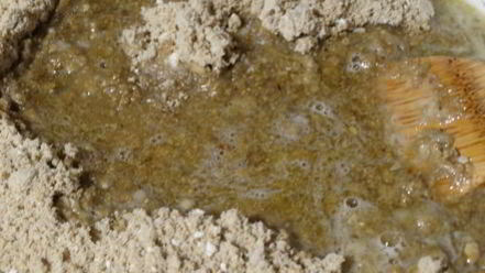 Рецепт халвы домашней