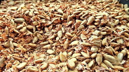 Рецепт халвы шоколадной с отрубями и семечками