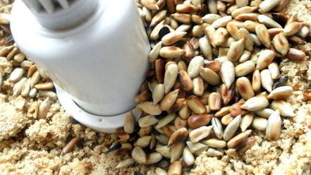 Рецепт шоколадных конфет с халвой