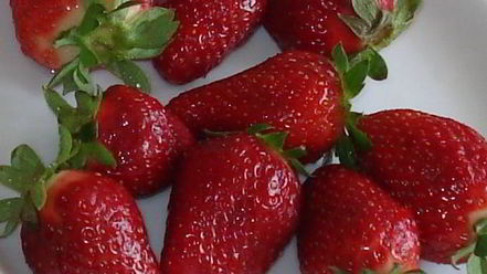 Рецепт конфет la bella vita