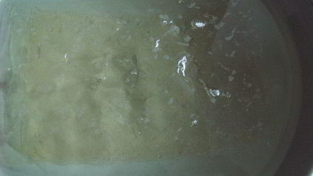 Рецепт апельсинова-макового рулет с кремом из маскарпоне