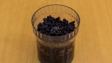 Рецепт мармелада ягодного