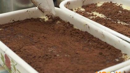 Рецепт Молочного пудинга