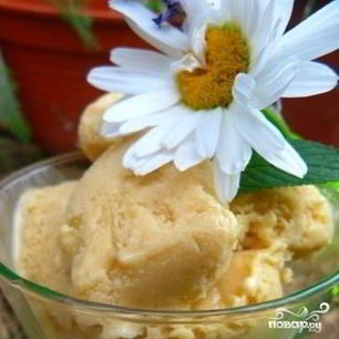 Рецепт Мороженого из козьего молока