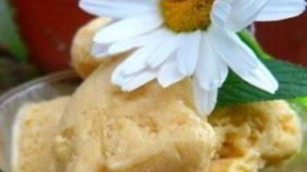 Рецепт мороженого из козьего молока