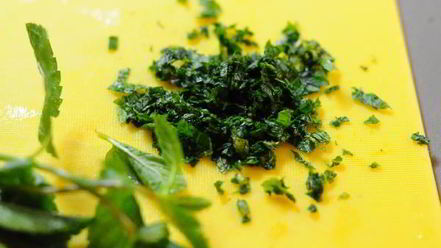 Рецепт шоколадного и мятного мороженого