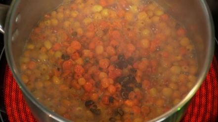 Рецепт крокодилового хвоста с облепихово-можжевеловым муссом