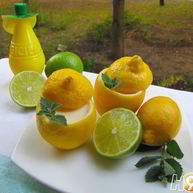 Рецепт Лимонного мусса Форчино