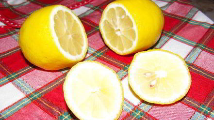 Рецепт лимонного мусса форчино