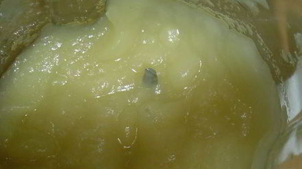 Рецепт мусса из яблок