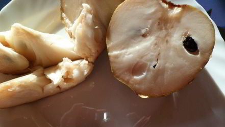 Рецепт мусса-желе из хурмы, черимойи и амареттини под крем-фрешем