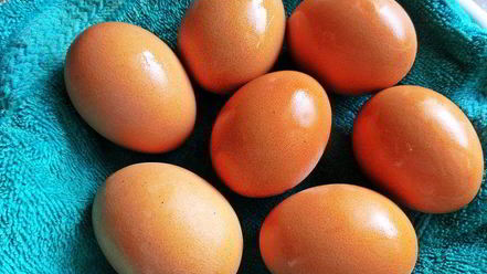 Рецепт пасхи монастырской