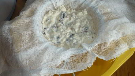 Рецепт творожной пасхи без яиц