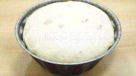 Рецепт вкусного пасхального кулича с изюмом