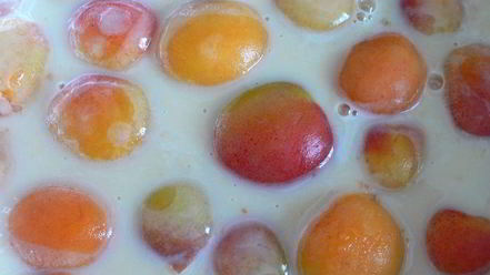 Рецепт пудинга из абрикосов