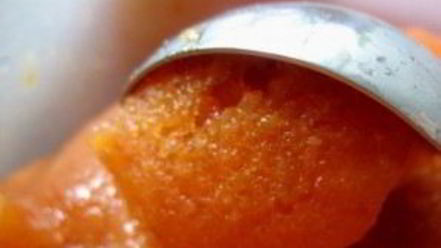 Рецепт абрикосового щербета