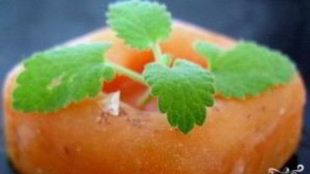 Рецепт абрикосового щербета