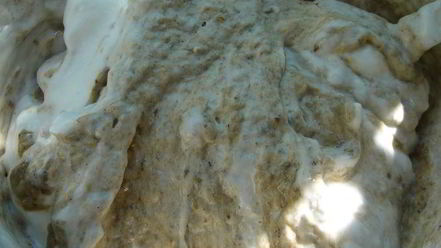 Рецепт грибного суфле