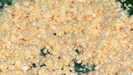 Рецепт сладкого киша с творожным суфле и абрикосами