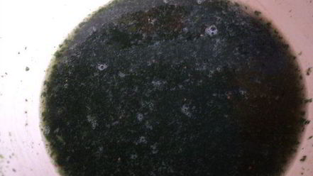 Рецепт сливочно-ягодно суфле