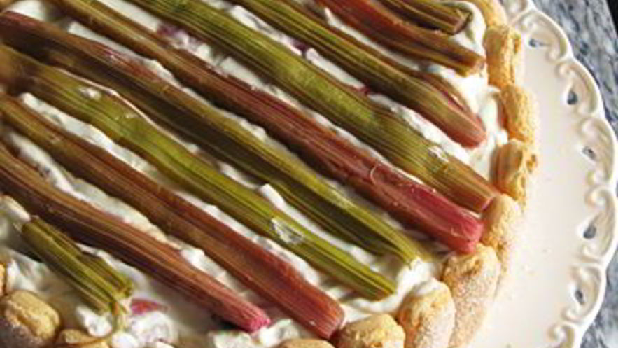 Рецепт ревенного тирамису