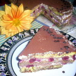 Рецепт Творожного торта-десерта с пьяными вишнями в стиле Тирамису