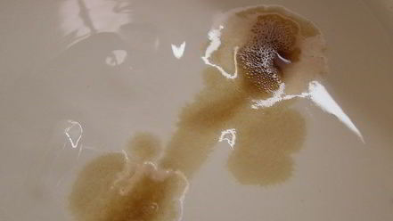 Рецепт брусничного зефира с малиновым соусом