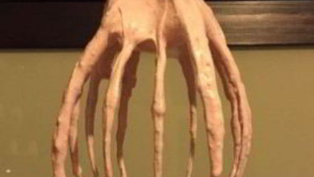 Рецепт вишневого зефира