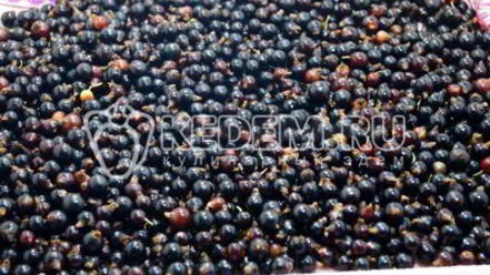 Рецепт желе из черной смородины