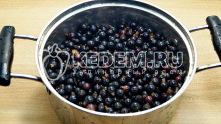 Рецепт желе из черной смородины
