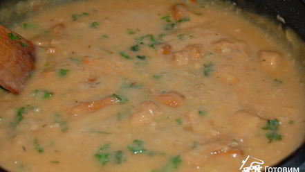 Рецепт драников с грибами и грибным соусом