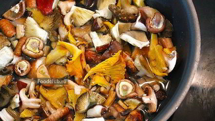 Рецепт драников со сметано-грибным соусом