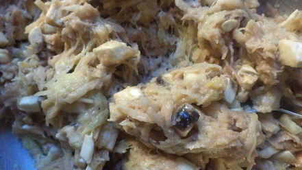 Рецепт картофельных драников с шампиньонами и кабачком