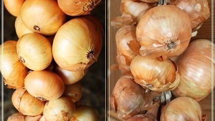 Рецепт форшмака имени сырожиной бабушки