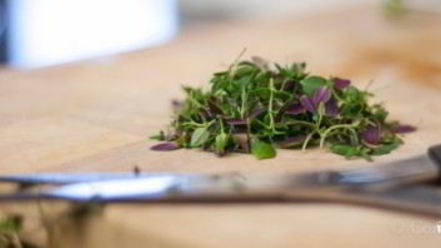 Рецепт фрикаделек по-итальянски