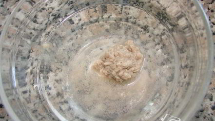 Рецепт фрикаделек в соусе нежные