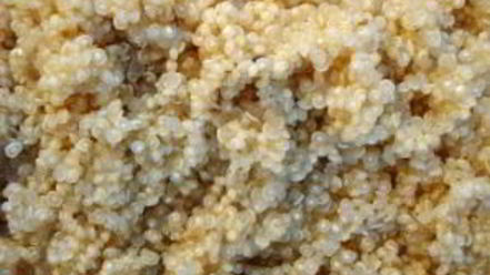 Рецепт гарнира из киноа