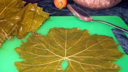 Рецепт долмы из маринованных листьев