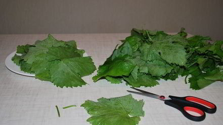 Рецепт долмы с чесночным соусом и кинзой