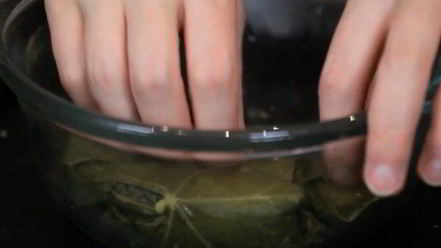 Рецепт долмы с индейкой и кускусом