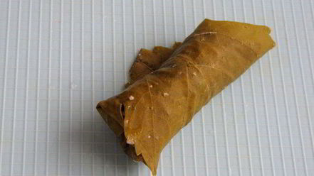 Рецепт долмы с рисом, изюмом и кедровыми орешками