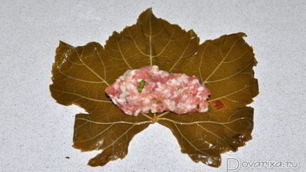 Рецепт долмы в томатном соусе